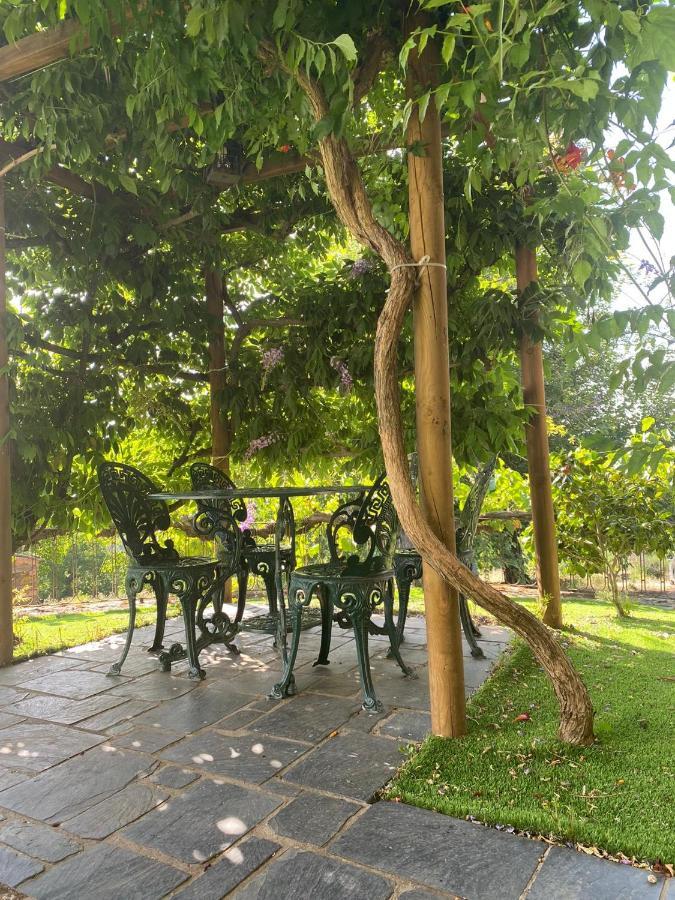 Casa Do Pomar Guest House Braganca Bagian luar foto