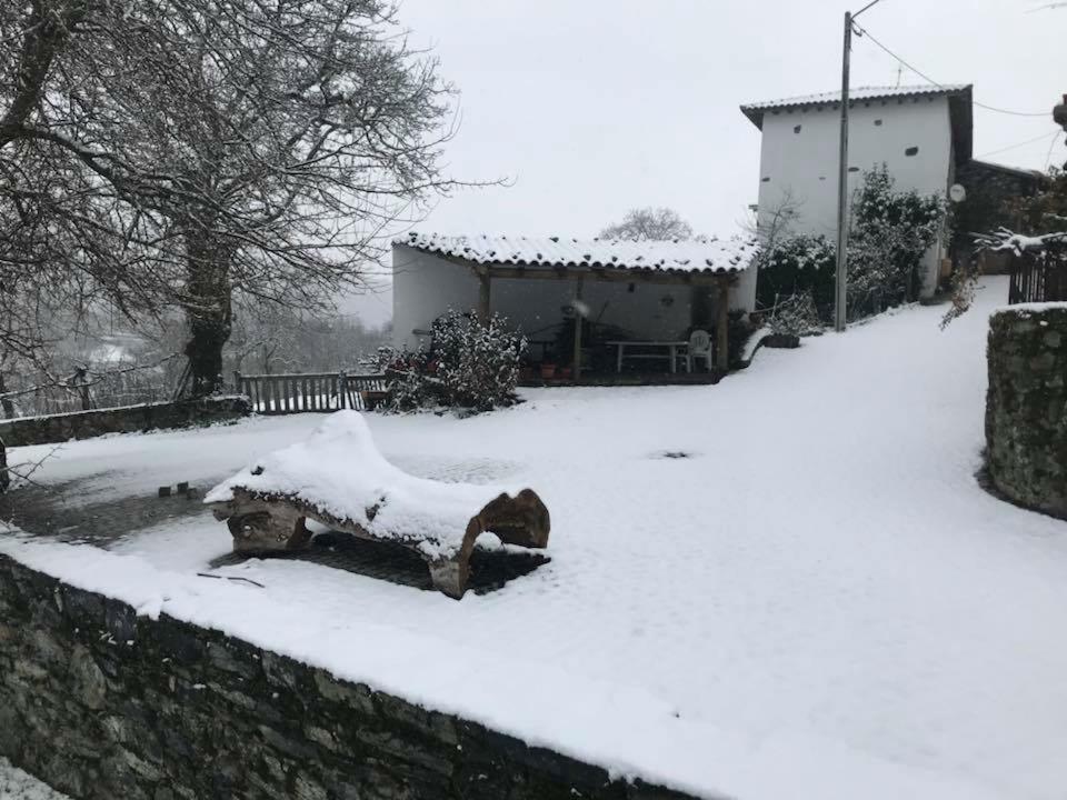 Casa Do Pomar Guest House Braganca Bagian luar foto